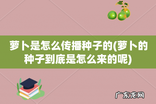 萝卜的种子到底是怎么来的呢 萝卜是怎么传播种子的