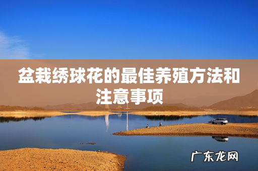 盆栽绣球花的最佳养殖方法和注意事项
