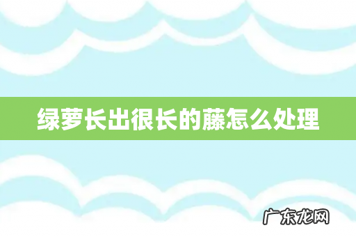 绿萝长出很长的藤怎么处理