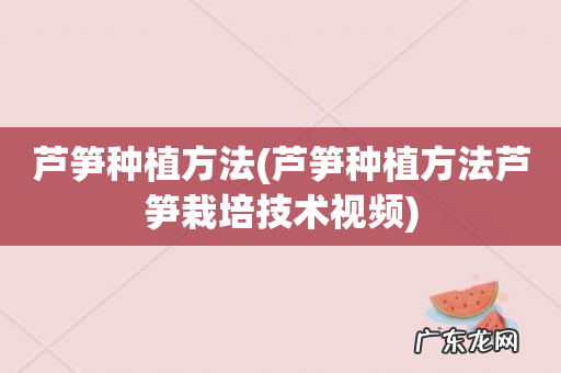 芦笋种植方法芦笋栽培技术视频 芦笋种植方法