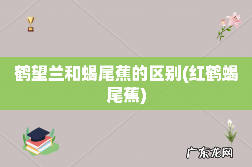 红鹤蝎尾蕉 鹤望兰和蝎尾蕉的区别