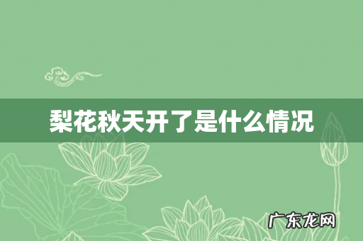 梨花秋天开了是什么情况