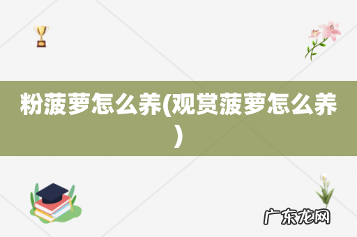 观赏菠萝怎么养 粉菠萝怎么养