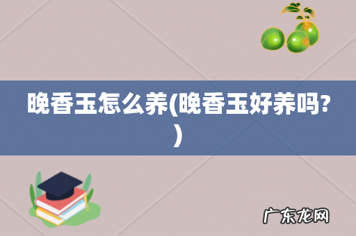 晚香玉好养吗? 晚香玉怎么养