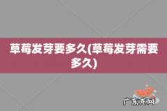 草莓发芽需要多久 草莓发芽要多久