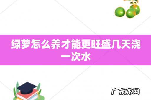 绿萝怎么养才能更旺盛几天浇一次水