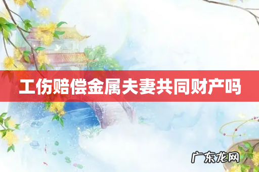 工伤赔偿金属夫妻共同财产吗