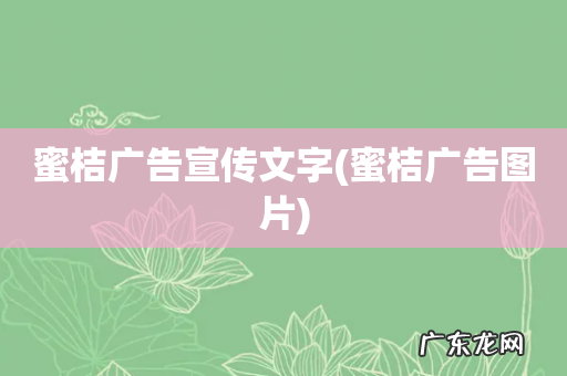 蜜桔广告图片 蜜桔广告宣传文字