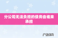 分公司无法负担的债务由谁来承担