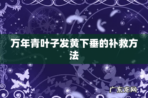 万年青叶子发黄下垂的补救方法