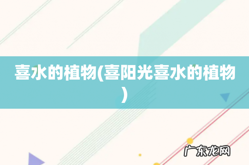 喜阳光喜水的植物 喜水的植物