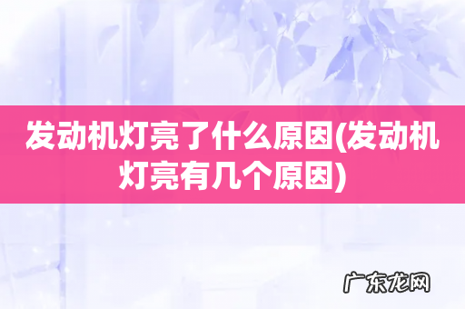 发动机灯亮有几个原因 发动机灯亮了什么原因