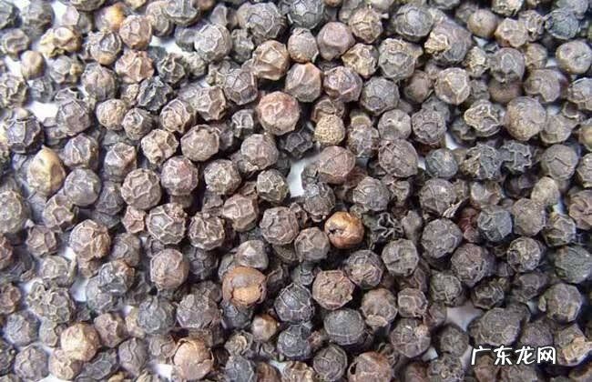 孕期吃胡椒粉有影响吗 怀孕可以吃胡椒粉不