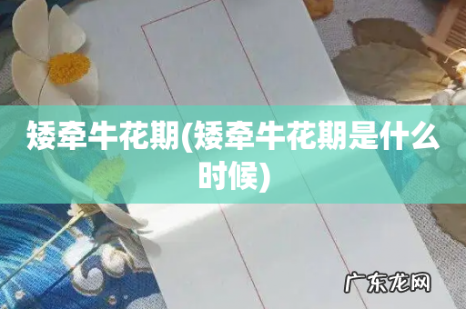 矮牵牛花期是什么时候 矮牵牛花期