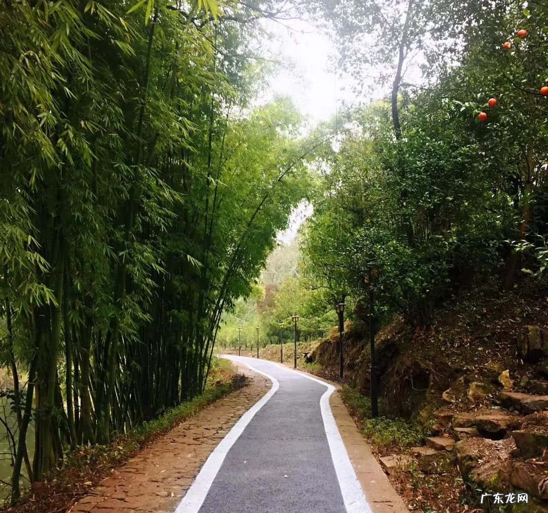 铜门环的寓意 宗祠的风水左环右抱意义