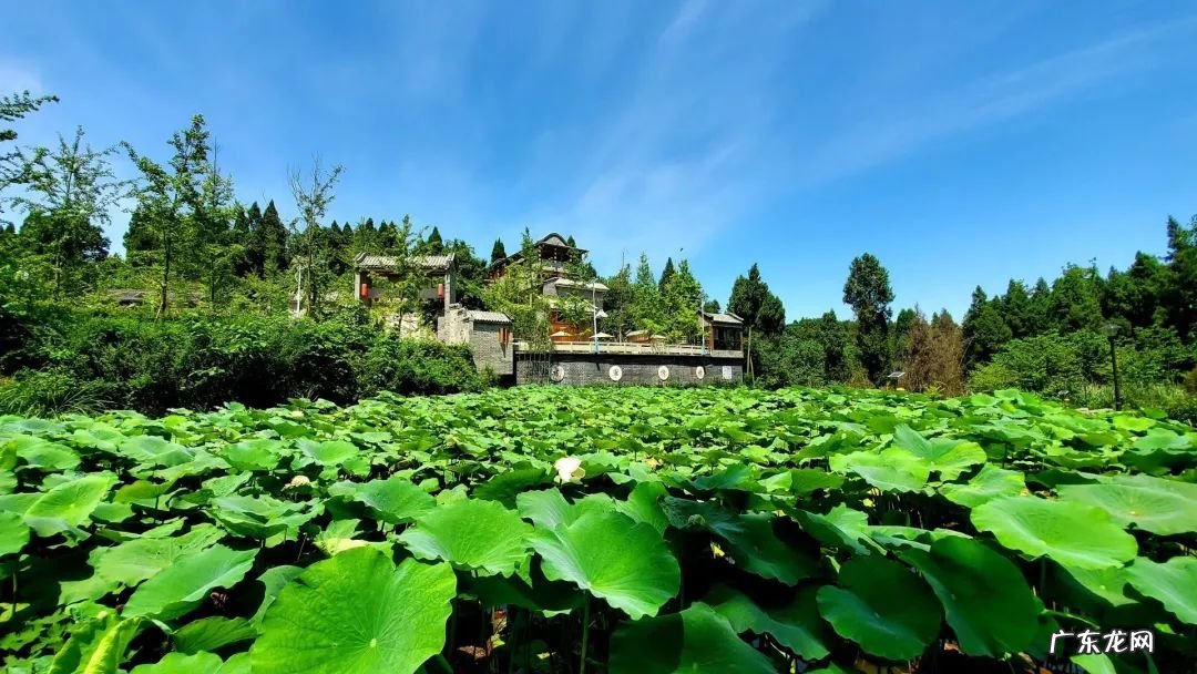 铜门环的寓意 宗祠的风水左环右抱意义
