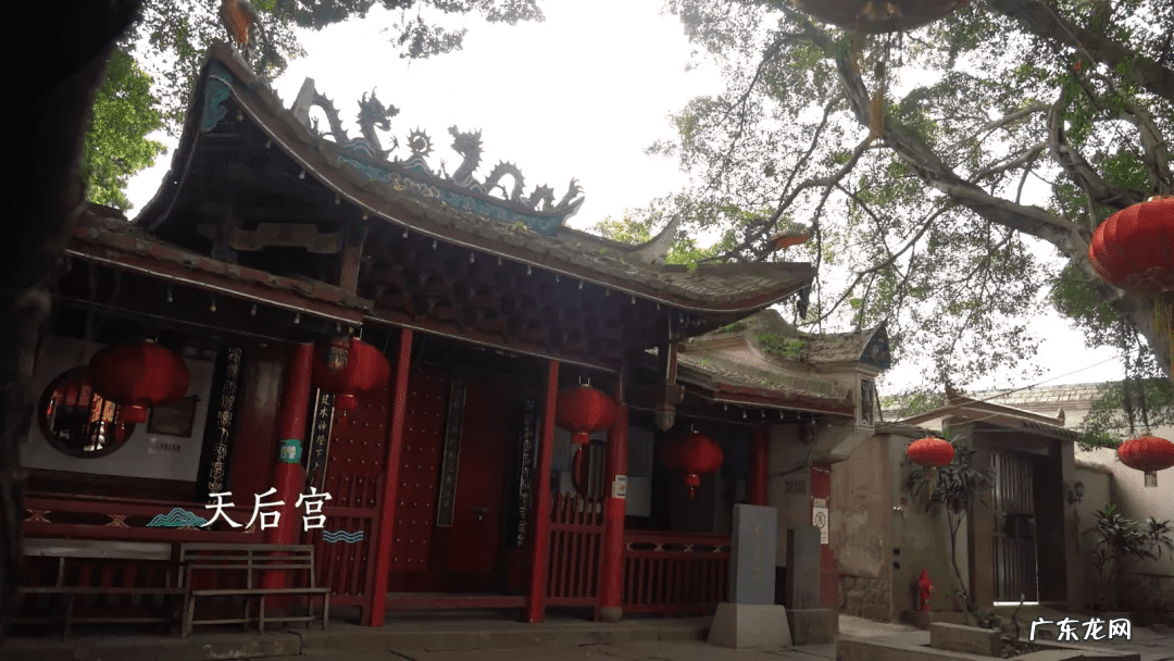 田螺的功效与作用禁忌 田螺风水中代表什么