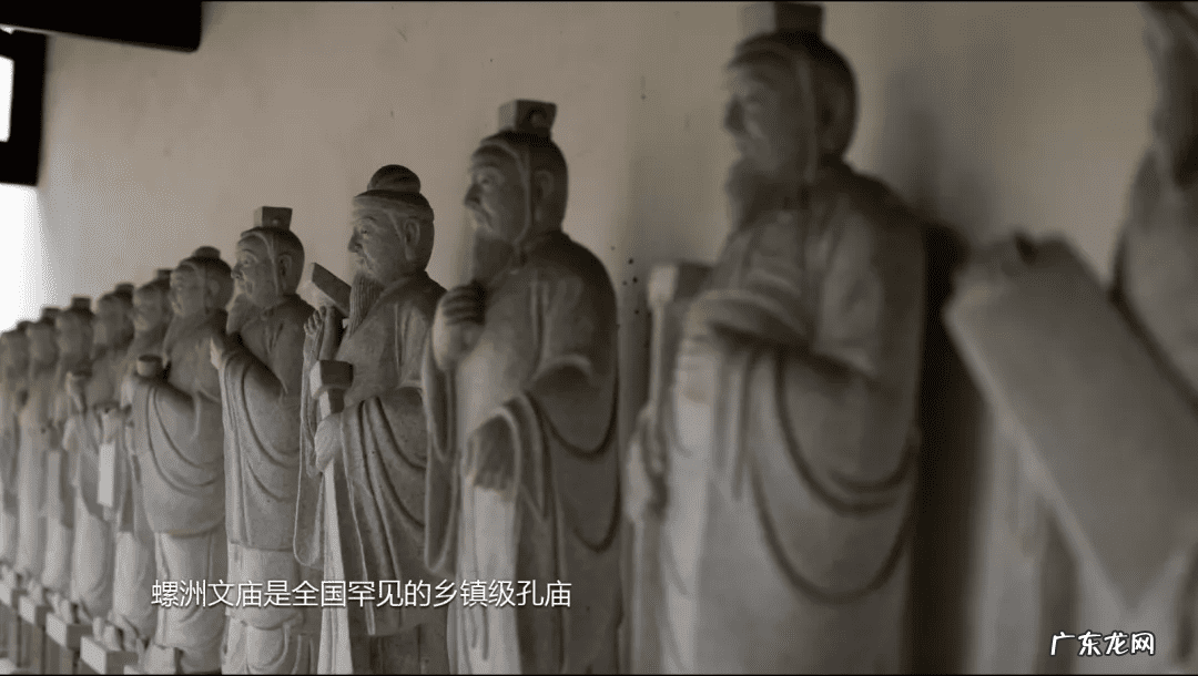 田螺的功效与作用禁忌 田螺风水中代表什么