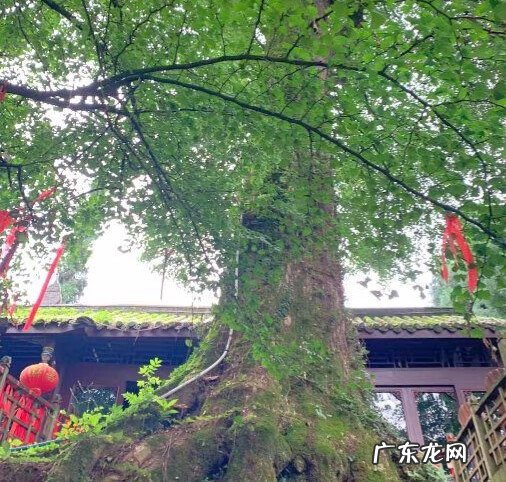 赵公庙在赵公山哪里 赵公山风水宝地在哪里