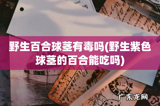野生紫色球茎的百合能吃吗 野生百合球茎有毒吗