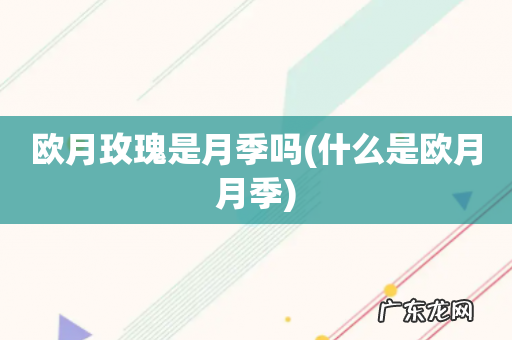 什么是欧月月季 欧月玫瑰是月季吗