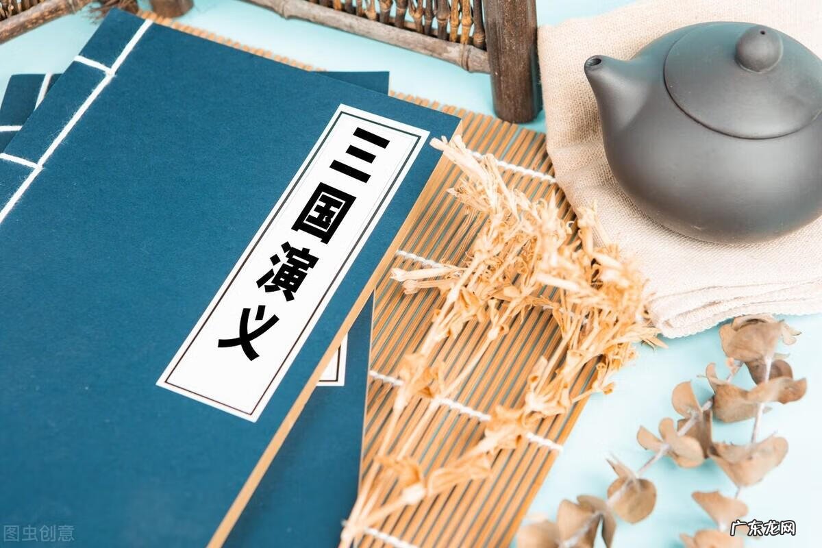 介绍一本书的作文怎么写