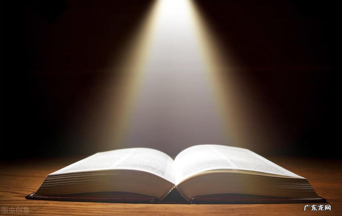 介绍一本书的作文怎么写