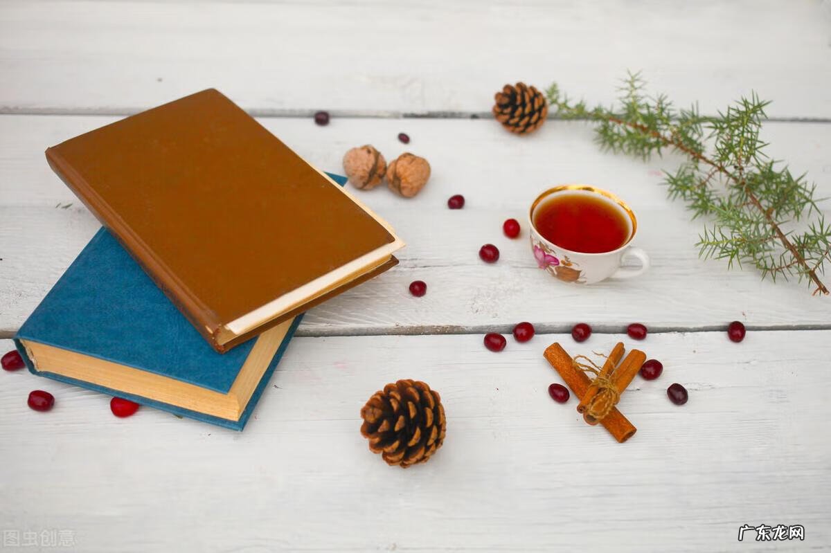 介绍一本书的作文怎么写