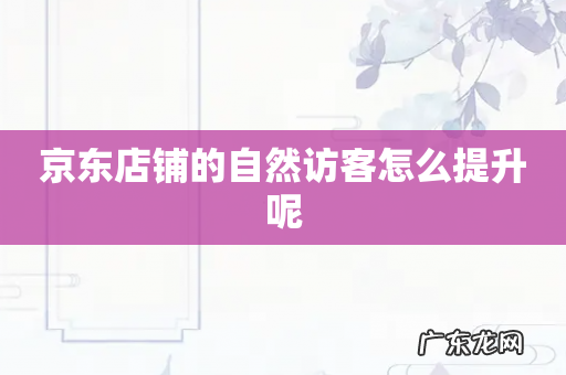 京东店铺的自然访客怎么提升呢