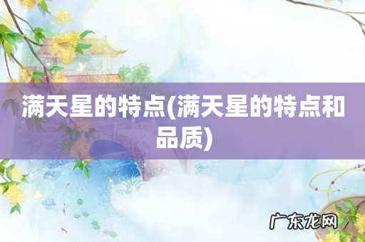 满天星的特点和品质 满天星的特点