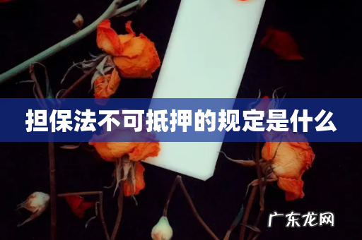 担保法不可抵押的规定是什么