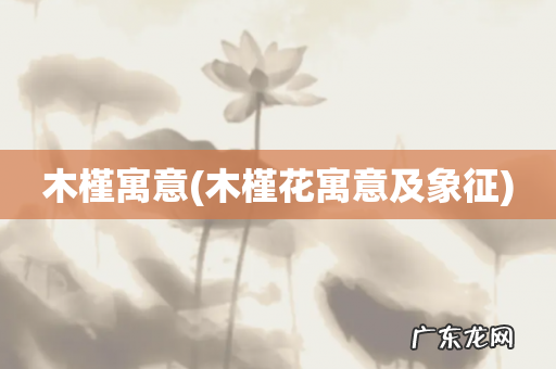 木槿花寓意及象征 木槿寓意