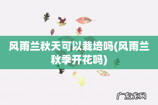 风雨兰秋季开花吗 风雨兰秋天可以栽培吗