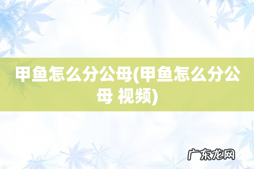 甲鱼怎么分公母 视频 甲鱼怎么分公母