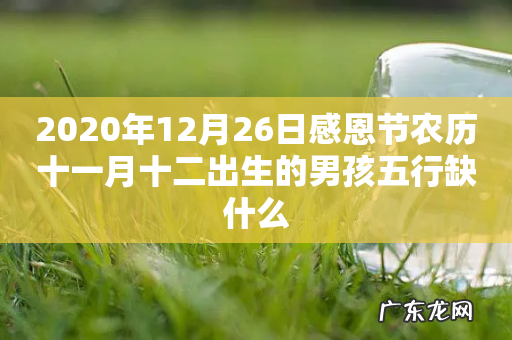 2020年12月26日感恩节农历十一月十二出生的男孩五行缺什么