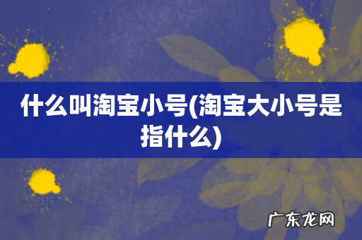 淘宝大小号是指什么 什么叫淘宝小号