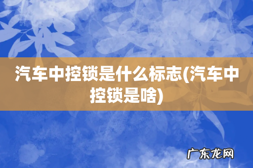汽车中控锁是啥 汽车中控锁是什么标志