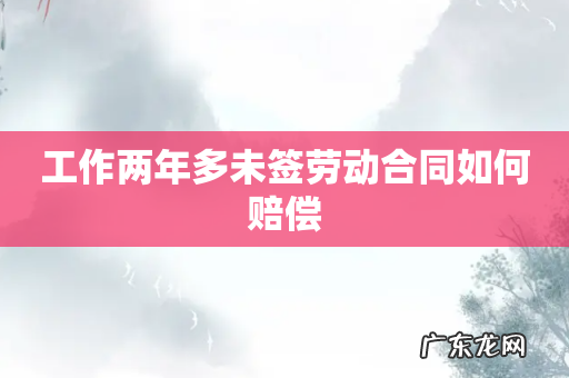 工作两年多未签劳动合同如何赔偿