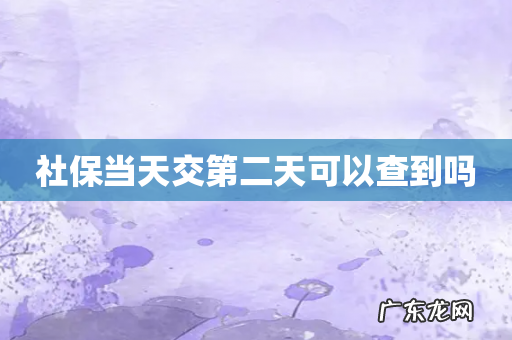 社保当天交第二天可以查到吗