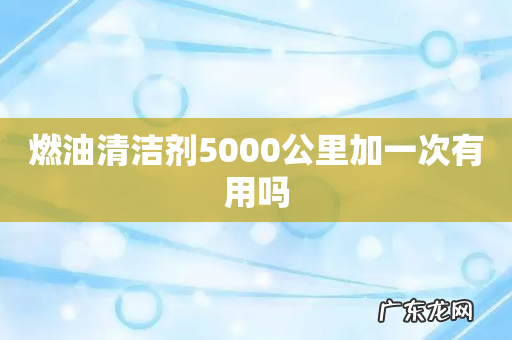 燃油清洁剂5000公里加一次有用吗