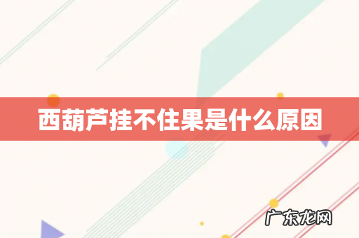 西葫芦挂不住果是什么原因