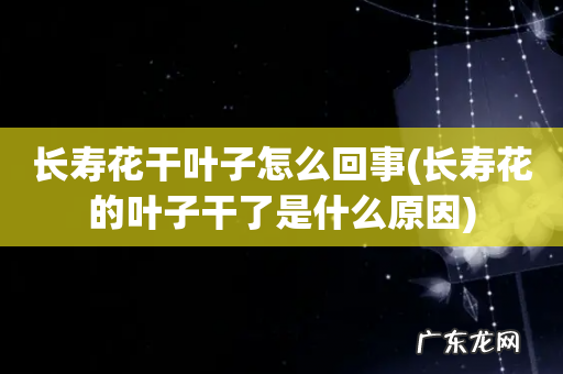长寿花的叶子干了是什么原因 长寿花干叶子怎么回事