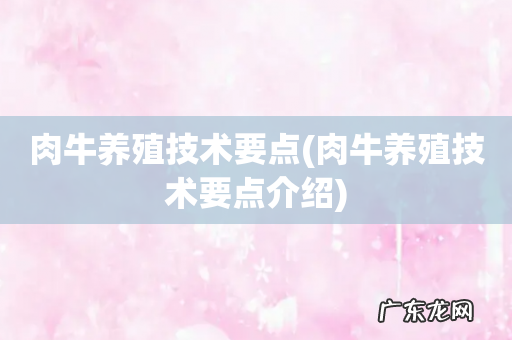 肉牛养殖技术要点介绍 肉牛养殖技术要点