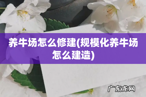 规模化养牛场怎么建造 养牛场怎么修建