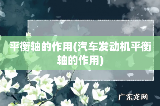 汽车发动机平衡轴的作用 平衡轴的作用