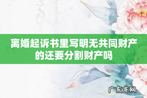 离婚起诉书里写明无共同财产的还要分割财产吗