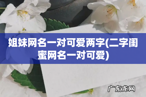 二字闺蜜网名一对可爱 姐妹网名一对可爱两字