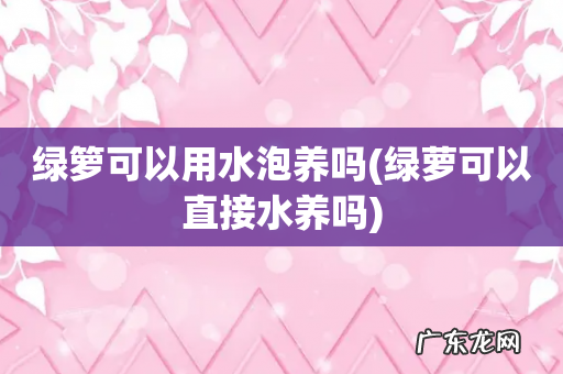 绿萝可以直接水养吗 绿箩可以用水泡养吗