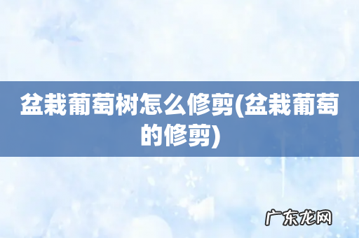 盆栽葡萄的修剪 盆栽葡萄树怎么修剪