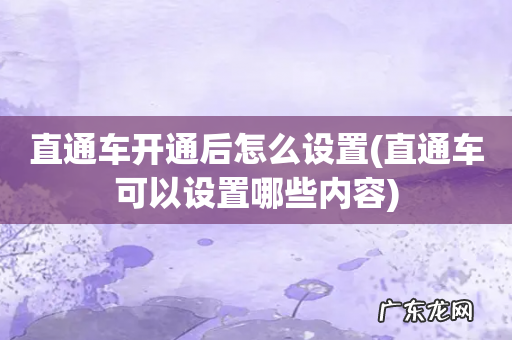 直通车可以设置哪些内容 直通车开通后怎么设置